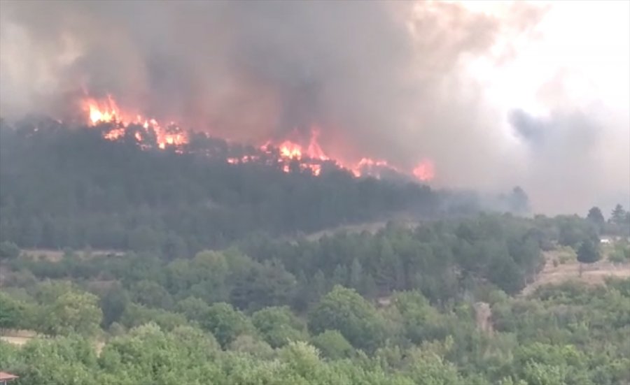 Ankara'nın Nallıhan İlçesinde Orman Yangını Çıktı