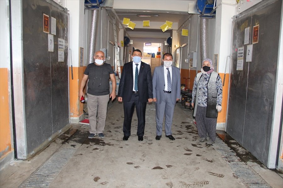 Kaymakam Vekili Muhammed Deniz Kılınç, Mantar Tesislerini İnceledi