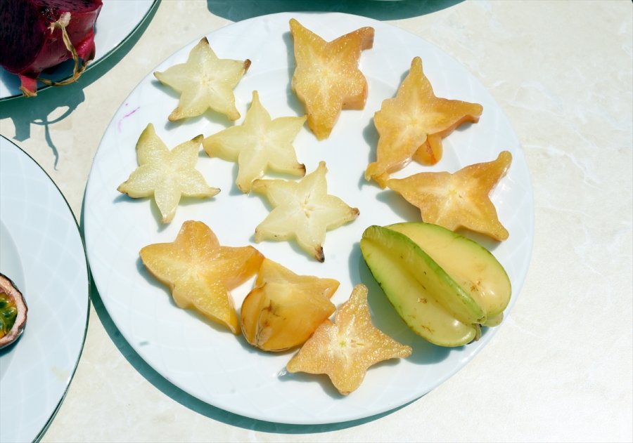 Tropikal Meyve Alanyalı Üreticinin Kazanç Kapısı Oldu