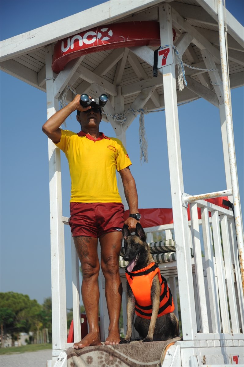 Cankurtaran Köpeği