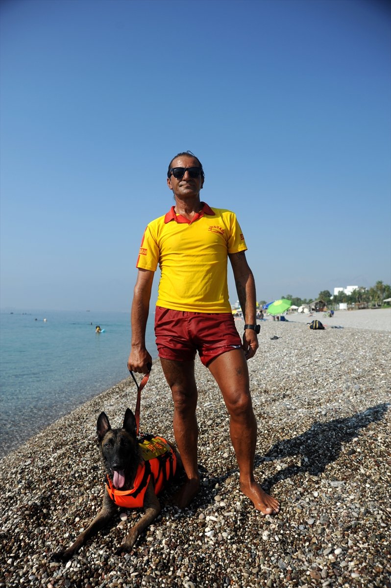 Cankurtaran Köpeği