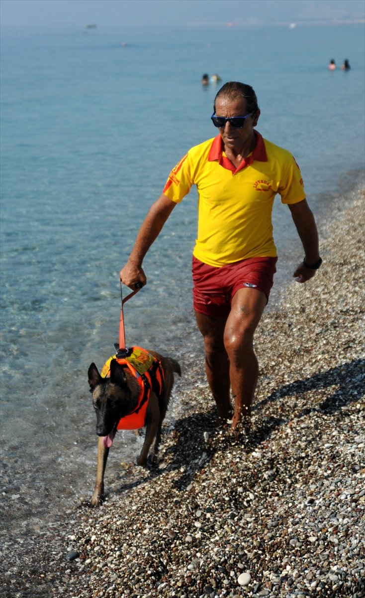 Cankurtaran Köpeği