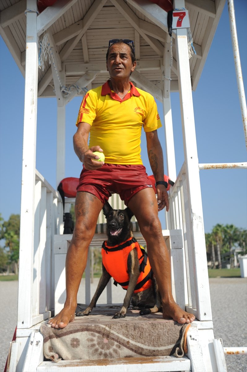 Cankurtaran Köpeği