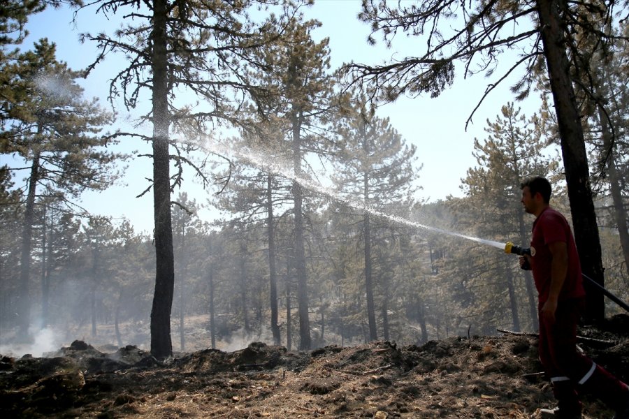 Nallıhan'daki Orman Yangınını Söndürme Çalışmaları Sürüyor