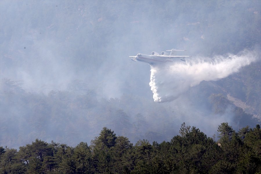 Nallıhan'daki Orman Yangınını Söndürme Çalışmaları Sürüyor