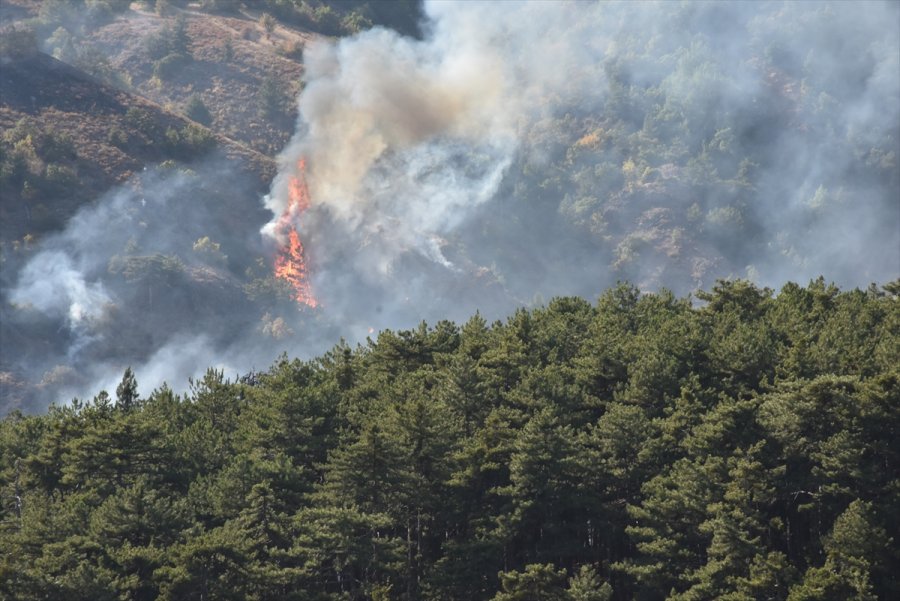 Soğuksu Milli Parkı'nda 30 Dönüm Ormanlık Alan Yandı