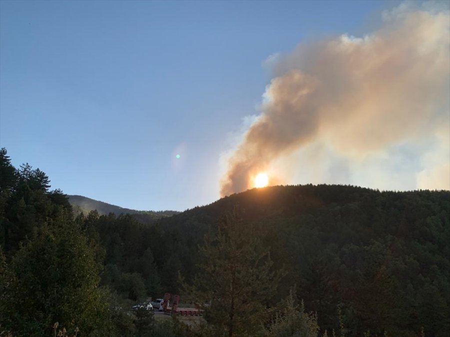 Ankara'nın Çubuk İlçesinde Çıkan Orman Yangınına Müdahale Ediliyor