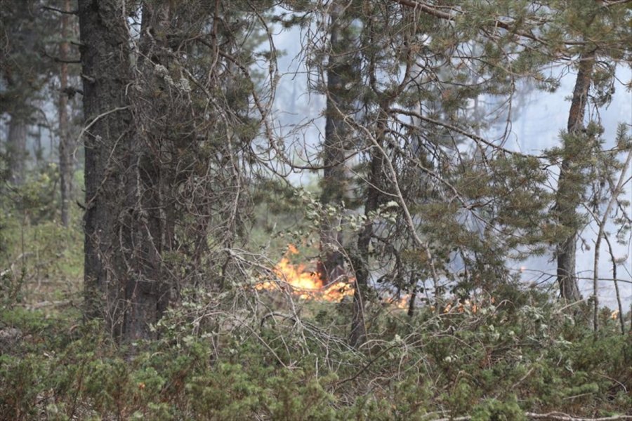 Ankara'nın Çubuk İlçesinde Çıkan Orman Yangınına Müdahale Ediliyor