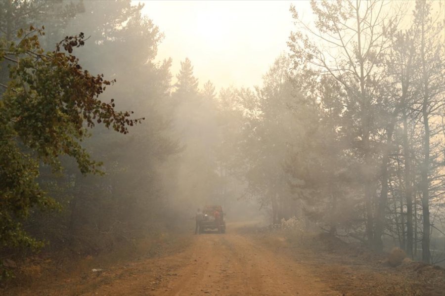 Ankara'nın Çubuk İlçesinde Çıkan Orman Yangınına Müdahale Ediliyor