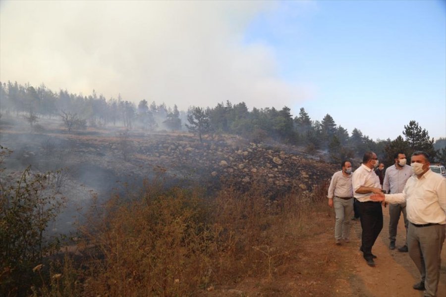 Ankara'nın Çubuk İlçesinde Çıkan Orman Yangınına Müdahale Ediliyor