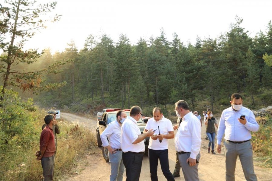 Ankara'nın Çubuk İlçesinde Çıkan Orman Yangınına Müdahale Ediliyor