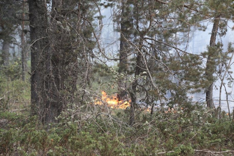 Ankara'nın Çubuk İlçesinde Çıkan Orman Yangınına Müdahale Ediliyor