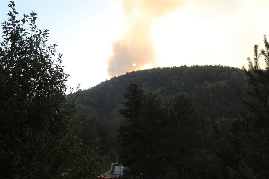 Ankara'nın Çubuk İlçesinde Çıkan Orman Yangınına Müdahale Ediliyor