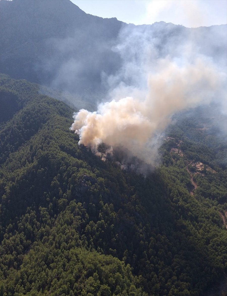 Antalya'da Ormanlık Alanda Yangın
