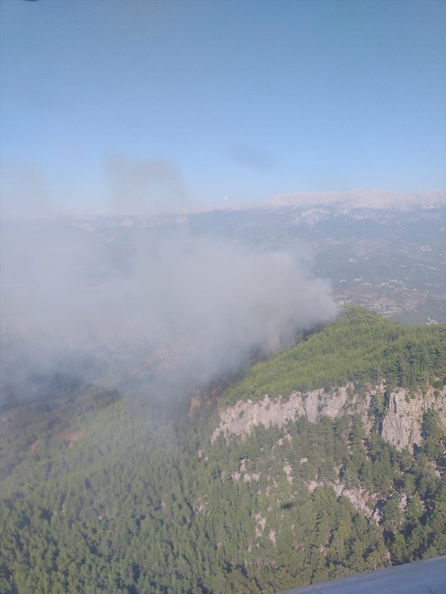 Antalya'da Ormanlık Alanda Yangın