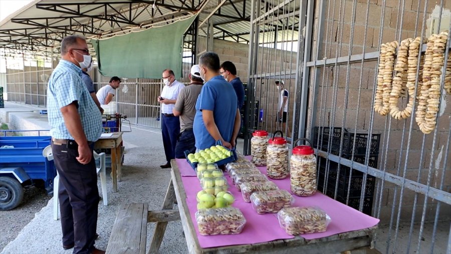 Mut'ta Beyaz İncir Hasadı Sürüyor