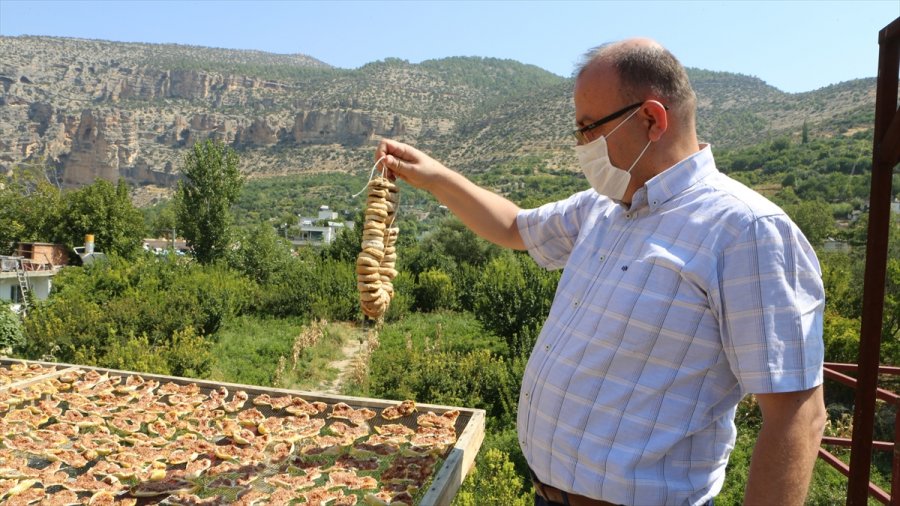 Mut'ta Beyaz İncir Hasadı Sürüyor