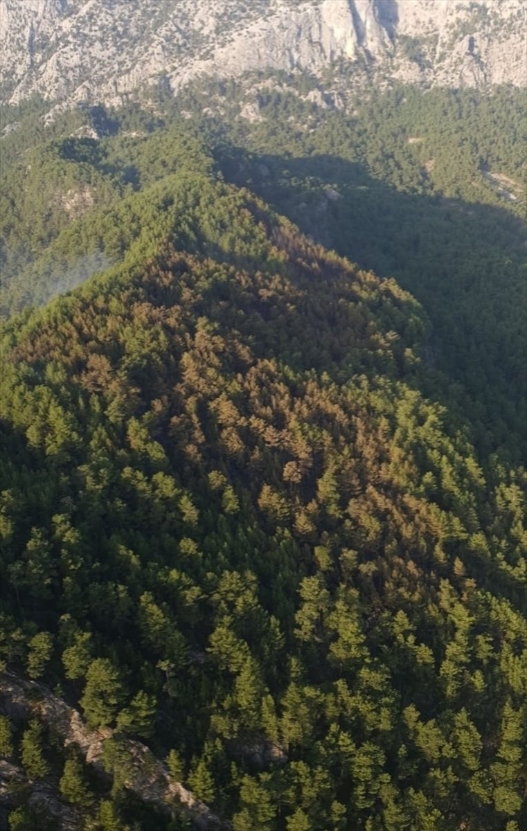 Antalya'da Ormanlık Alanda Çıkan Yangın Kontrol Altına Alındı