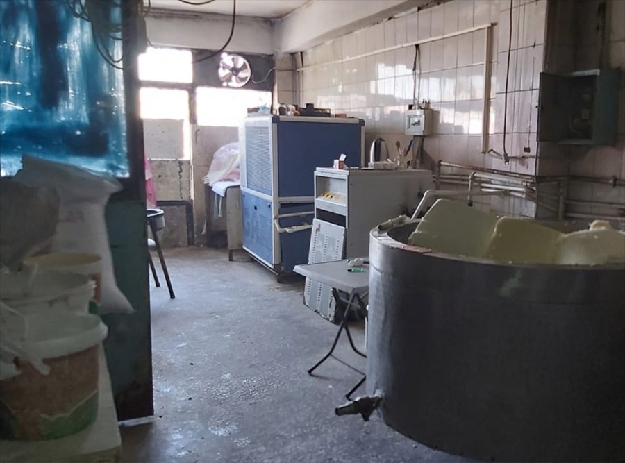 Kayseri'de Sağlıksız 1,5 Ton Süt Ürünü İmha Edildi