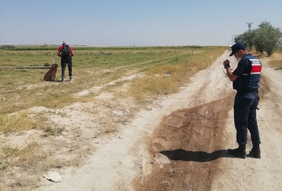 Konya'da Tarım İşçisi Suriyeli Kadının Kaybolan 3 Yaşındaki Çocuğu 20 Saat Sonra Bulundu