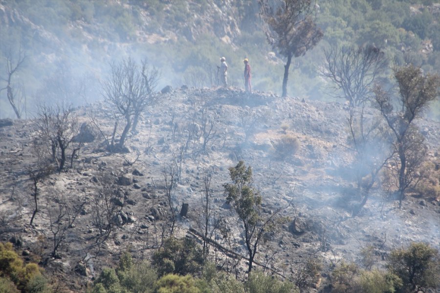 Antalya'da Çıkan Orman Yangınında 5 Hektar Alan Zarar Gördü