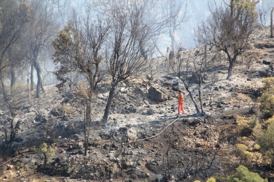 Antalya'da Çıkan Orman Yangınında 5 Hektar Alan Zarar Gördü