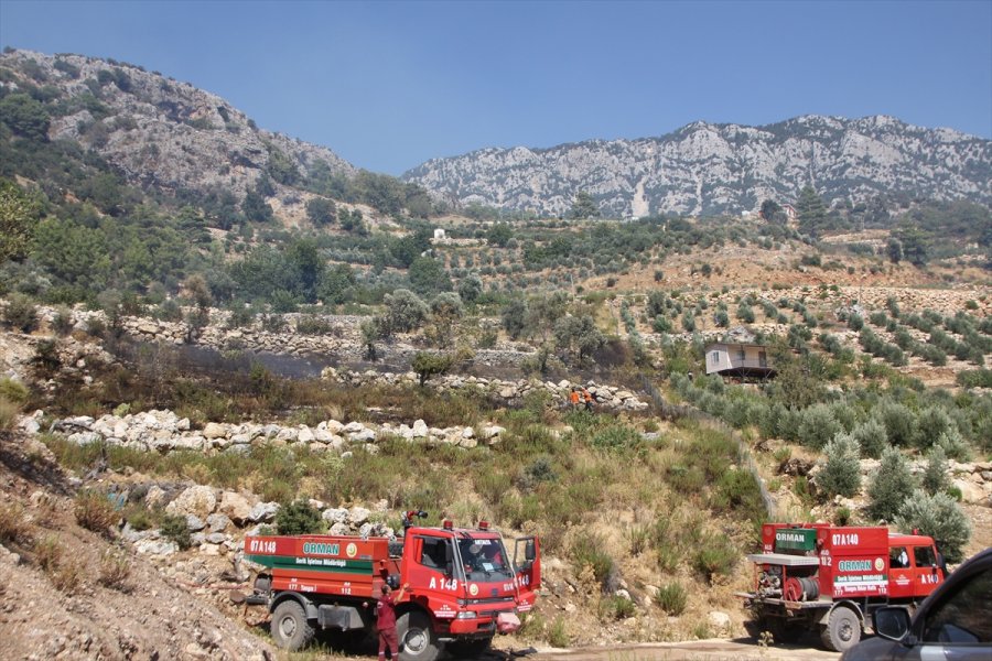Antalya'da Çıkan Orman Yangınında 5 Hektar Alan Zarar Gördü