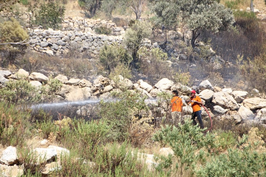 Antalya'da Çıkan Orman Yangınında 5 Hektar Alan Zarar Gördü