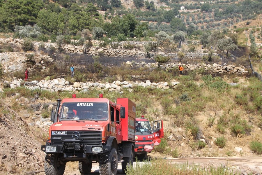 Antalya'da Çıkan Orman Yangınında 5 Hektar Alan Zarar Gördü