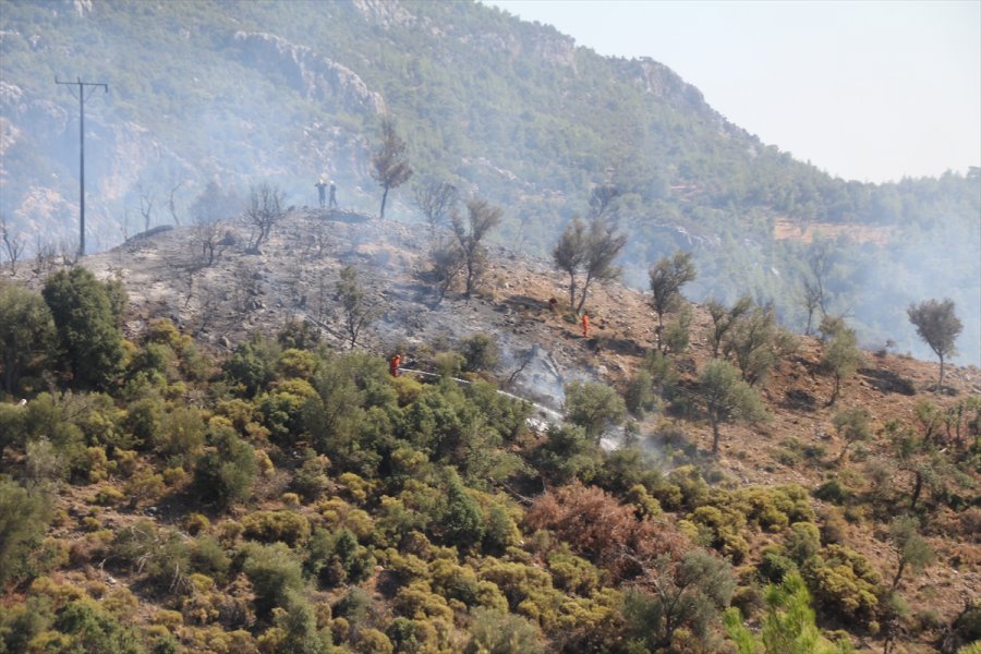 Antalya'da Çıkan Orman Yangınında 5 Hektar Alan Zarar Gördü