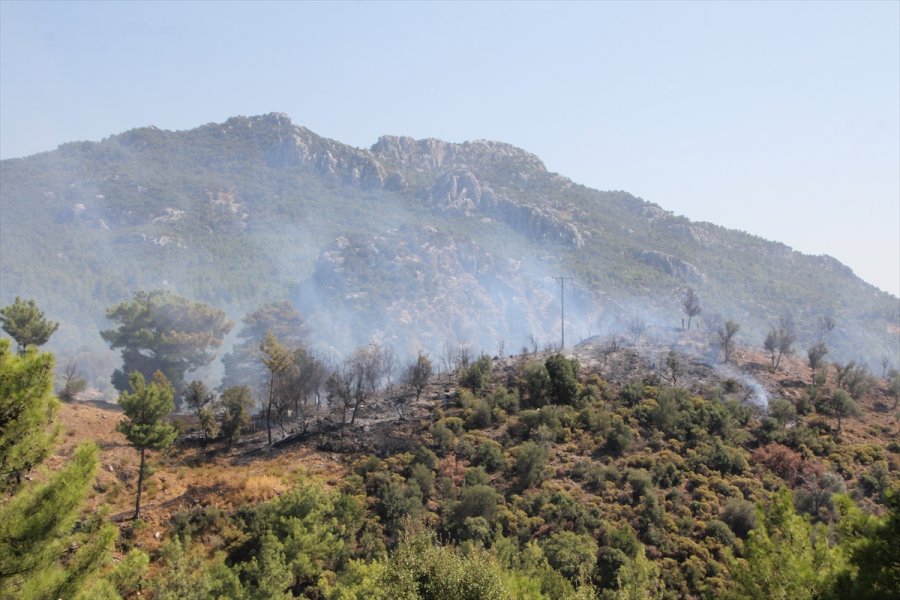 Antalya'da Çıkan Orman Yangınında 5 Hektar Alan Zarar Gördü