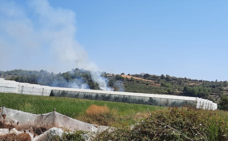 Antalya’da Tarım Arazisinde Çıkan Yangında Zeytin Ağaçları Zarar Gördü