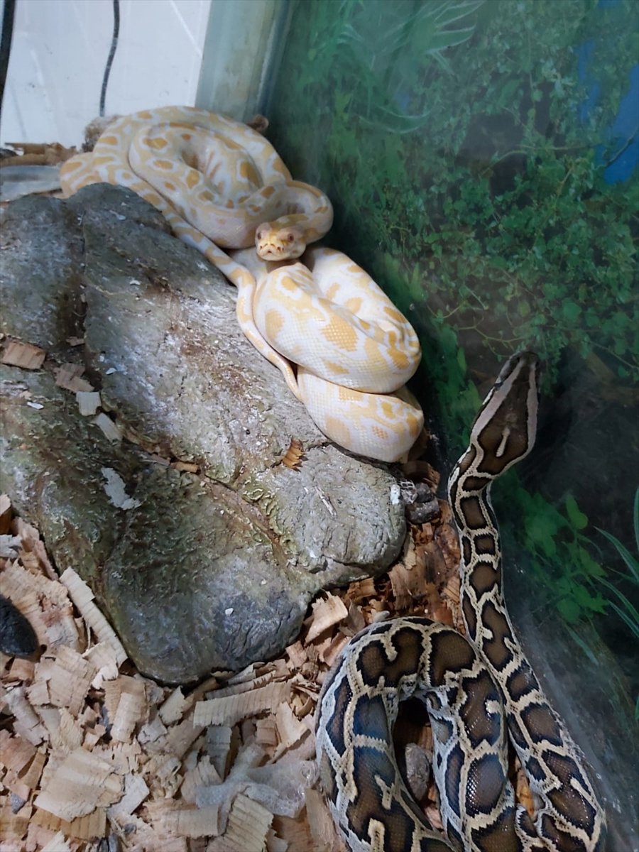 Tarsus Hayvanat Bahçesine 57 Yeni Üye