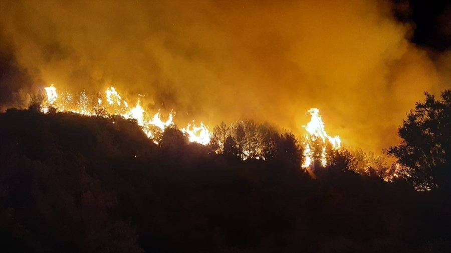 Antalya'da Ormanlık Alanda Çıkan Yangına Müdahale Ediliyor