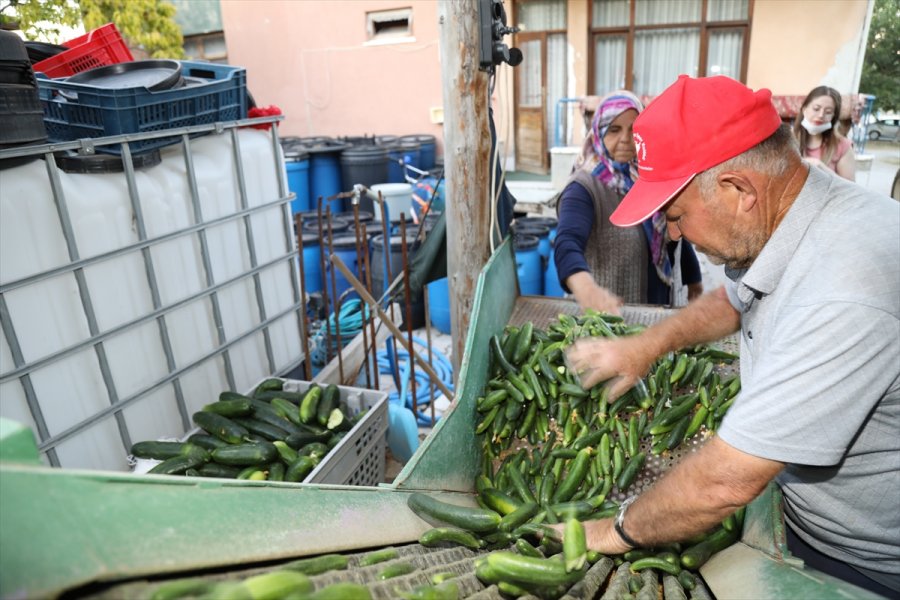 Çubuklu Üstün Ailesi Turşuculuğu Kuşaktan Kuşağa Aktarıyor
