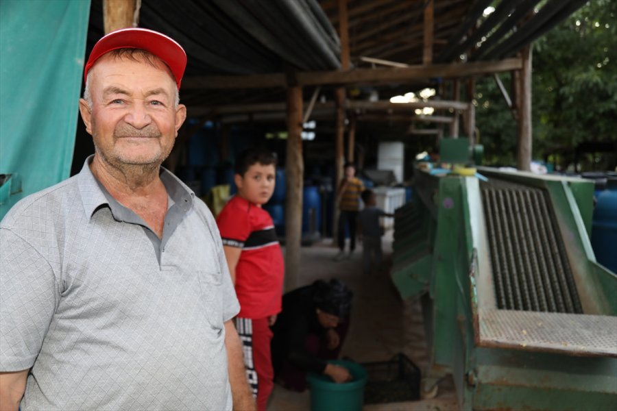 Çubuklu Üstün Ailesi Turşuculuğu Kuşaktan Kuşağa Aktarıyor