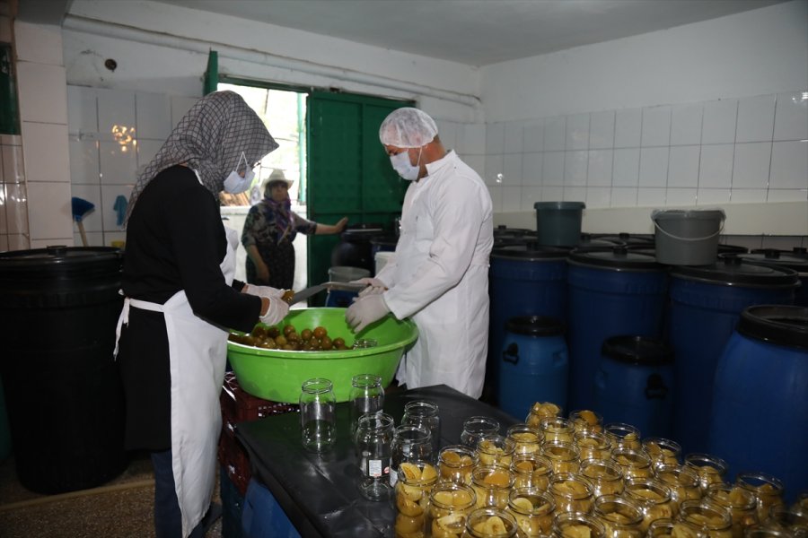 Çubuklu Üstün Ailesi Turşuculuğu Kuşaktan Kuşağa Aktarıyor