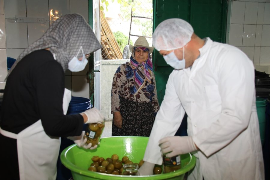 Çubuklu Üstün Ailesi Turşuculuğu Kuşaktan Kuşağa Aktarıyor