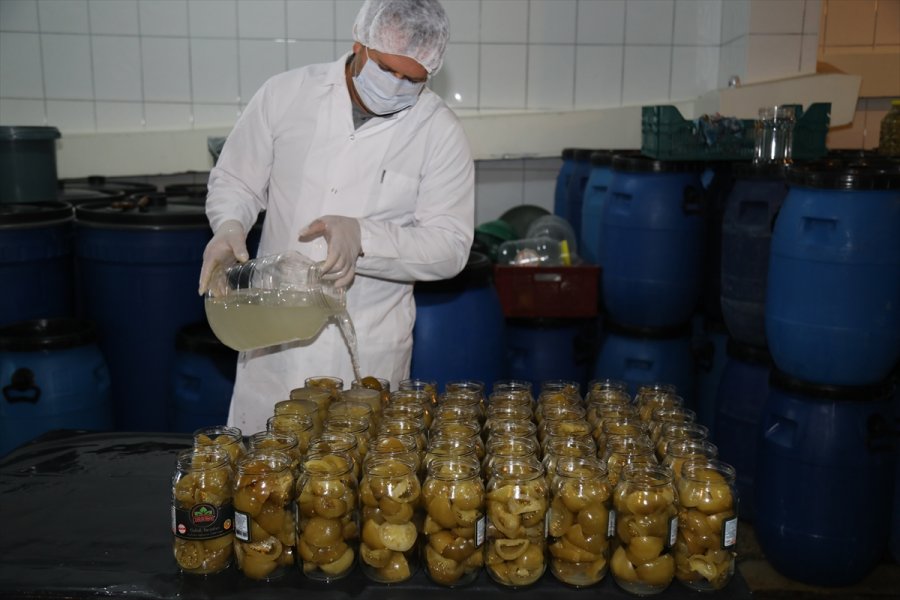 Çubuklu Üstün Ailesi Turşuculuğu Kuşaktan Kuşağa Aktarıyor