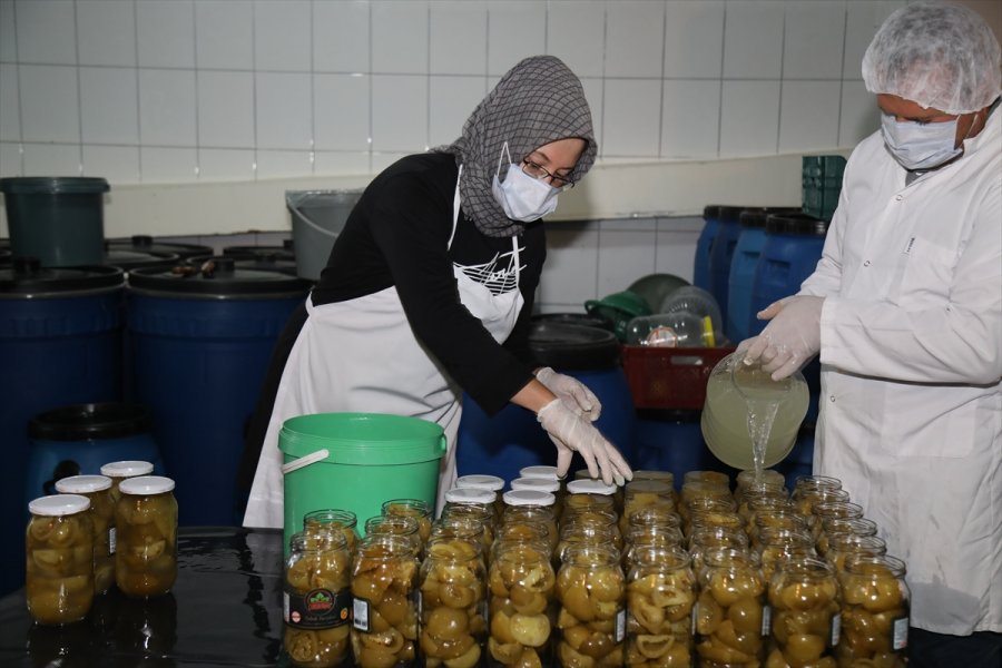 Çubuklu Üstün Ailesi Turşuculuğu Kuşaktan Kuşağa Aktarıyor