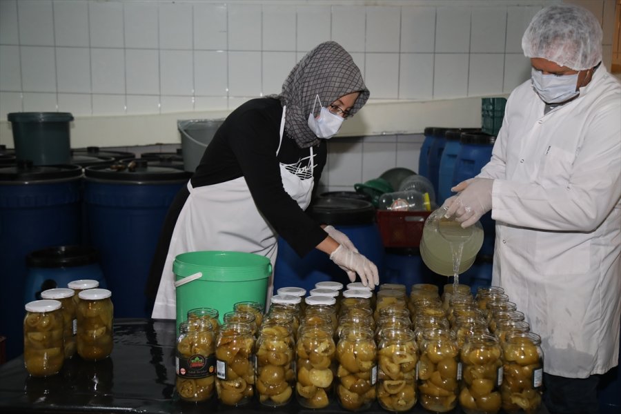 Çubuklu Üstün Ailesi Turşuculuğu Kuşaktan Kuşağa Aktarıyor