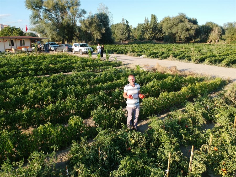 Çocukluk Hayalini Ata Tohumlarıyla Gerçekleştirdi
