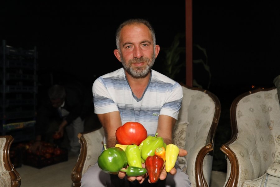 Çocukluk Hayalini Ata Tohumlarıyla Gerçekleştirdi