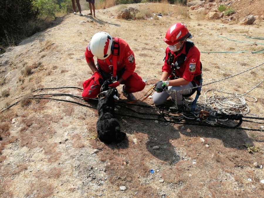 Mersin'de Kayalıkta Mahsur Kalan Keçiyi Akut Ekibi Kurtardı