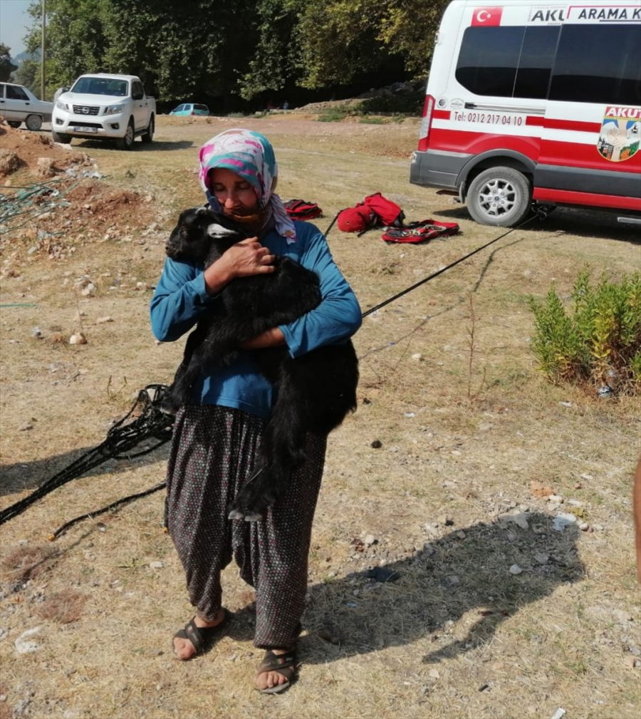 Mersin'de Kayalıkta Mahsur Kalan Keçiyi Akut Ekibi Kurtardı