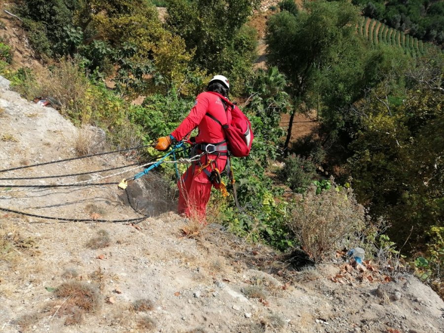 Mersin'de Kayalıkta Mahsur Kalan Keçiyi Akut Ekibi Kurtardı