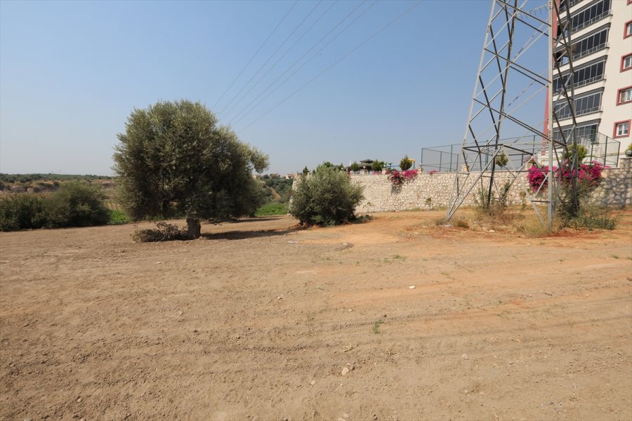 Mezitli'de Üretici Kadınlar Mevsimlik Çiçek Dikecek