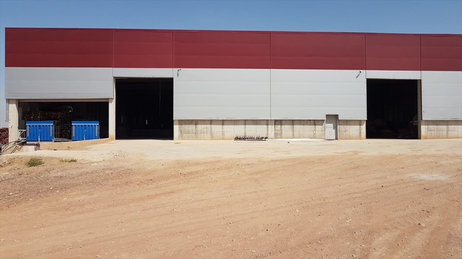 Niğde'de Patates Hasadı Devam Ediyor