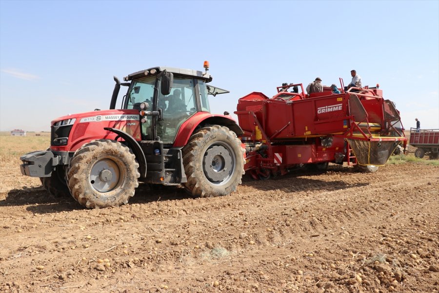 Niğde'de Patates Hasadı Devam Ediyor