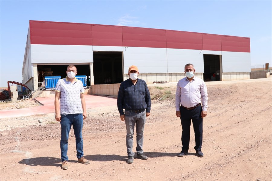 Niğde'de Patates Hasadı Devam Ediyor